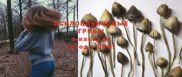 а пвп мука Арсеньев