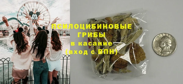 дмт Аркадак